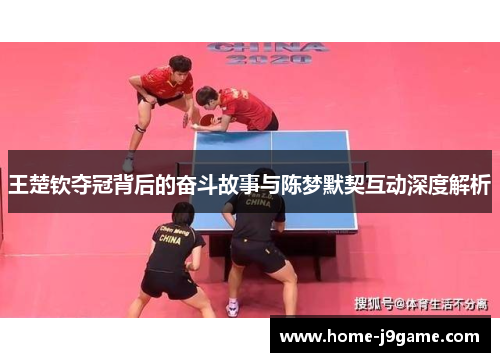 王楚钦夺冠背后的奋斗故事与陈梦默契互动深度解析